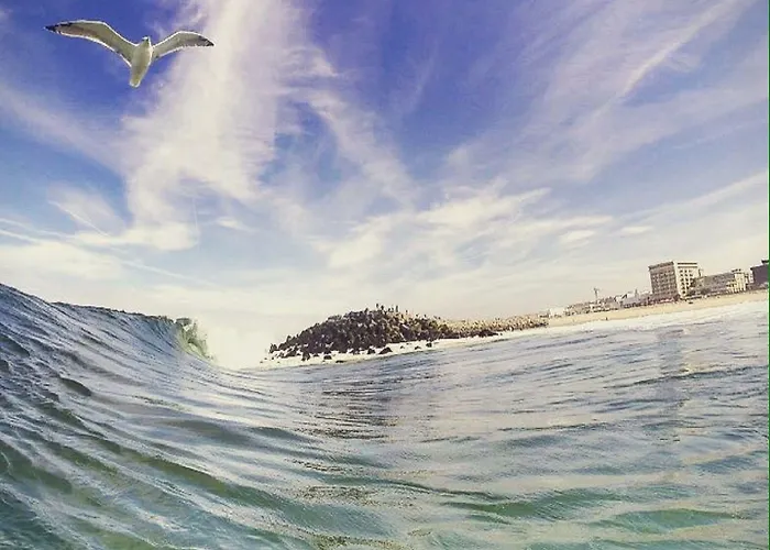 Coast Surf House אספיניו