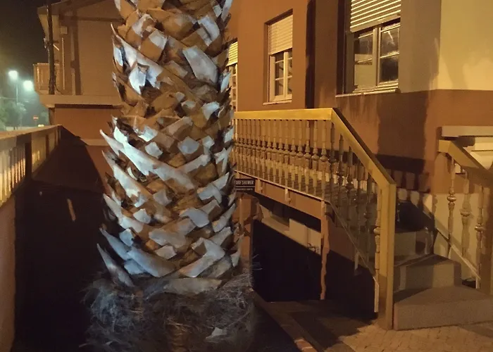 לינה וארוחת בוקר Coast Surf House 3*