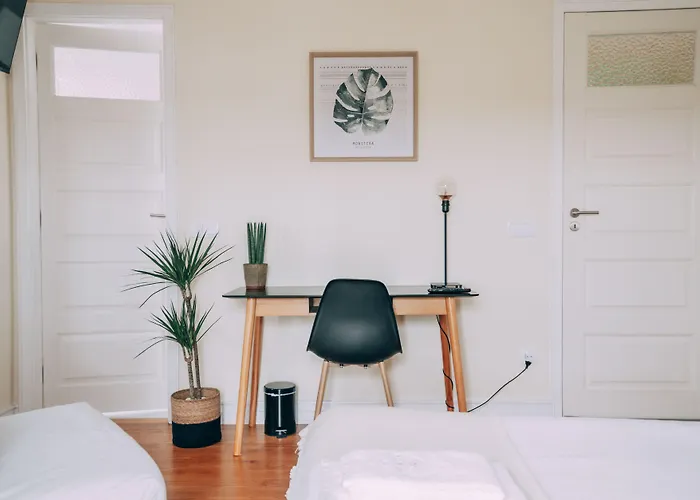 לינה וארוחת בוקר Coast Surf House אספיניו