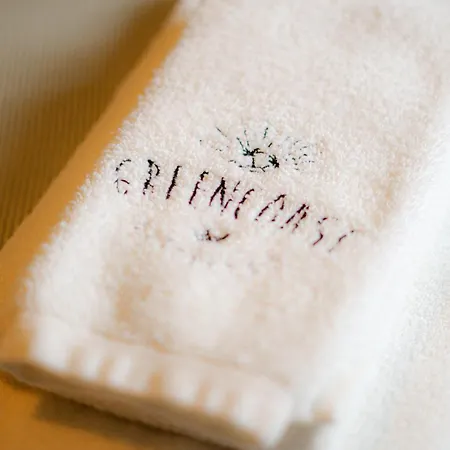Bed & Breakfast Green Coast Surf House Espinho (Aveiro)