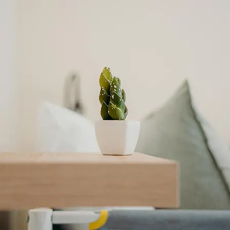 Green Coast Surf House Bed & Breakfast 3*